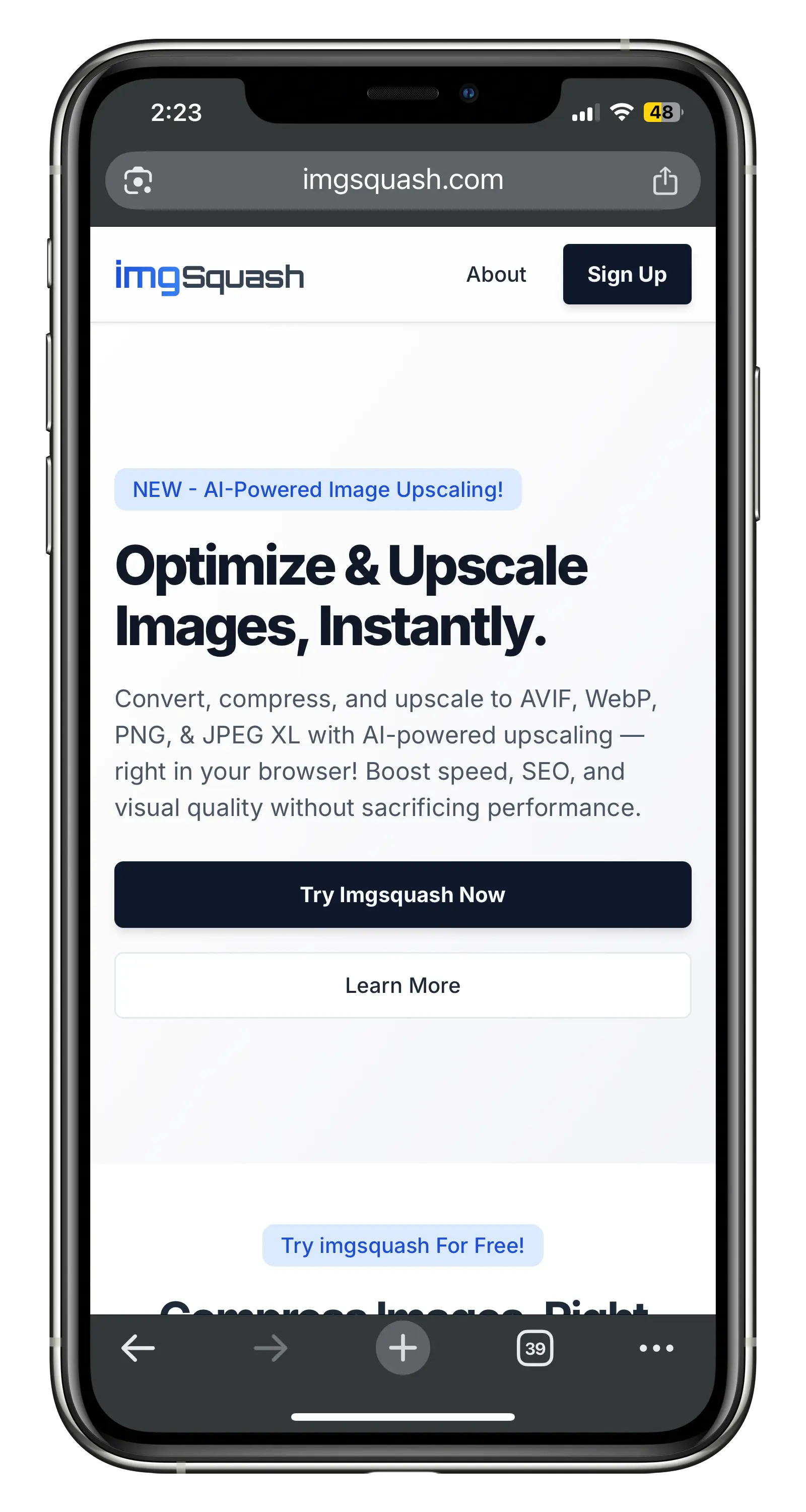 imgsquash.com compression interface preview